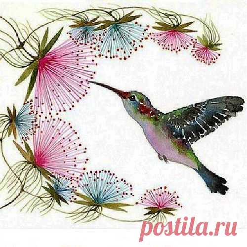 #колибри #рисунки #птицы #птичка - Its my Live!