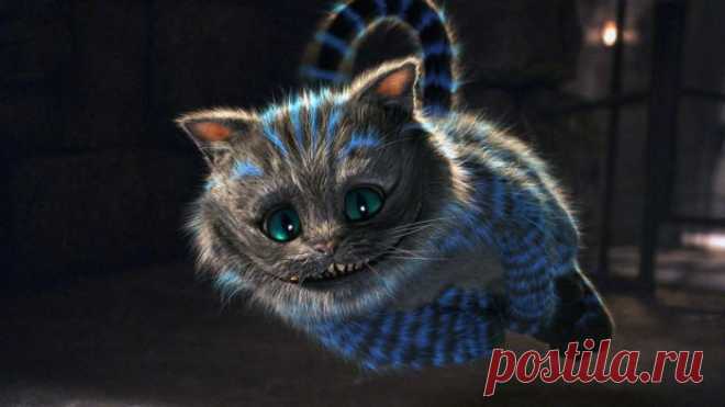 чеширский кот