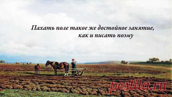 Психология статья "Рукастый хлебороб или очкастый программист"