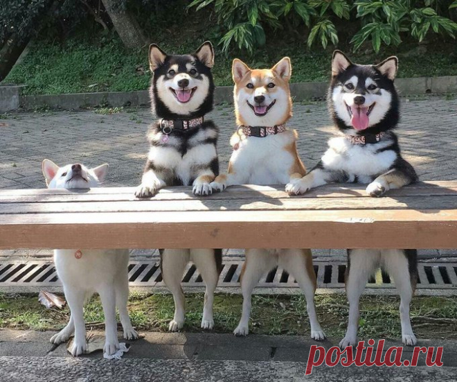 Bizarre-Art-Pic. (@hominemXV) / Twitter