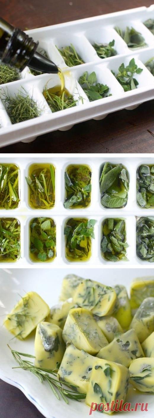 Теперь я буду замораживать травы только так! Удивительный метод… — Копилочка полезных советов