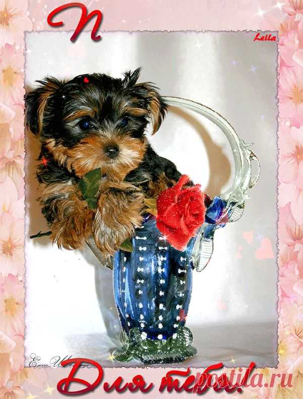 0_1628cf_3b7c27e0_orig (600×791)