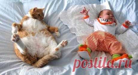 Несколько причин, почему каждому ребёнку нужен кот