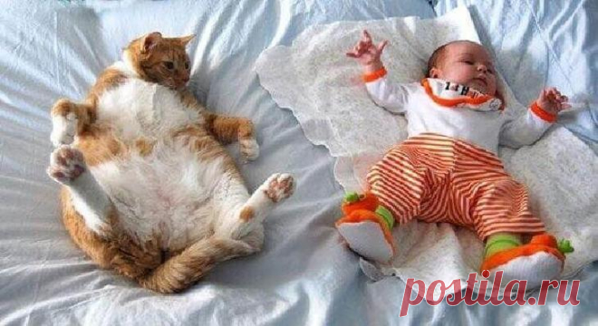 Несколько причин, почему каждому ребёнку нужен кот