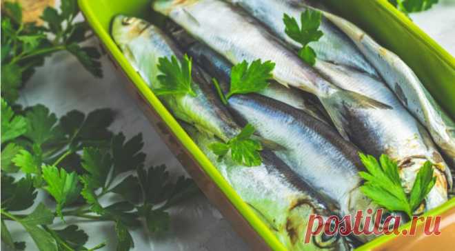 Как просто и вкусно приготовить недорогую рыбную мелочь: сайру и салаку