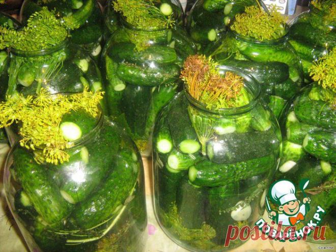 Кухня | Записи в рубрике Кухня | Дневник Daliute