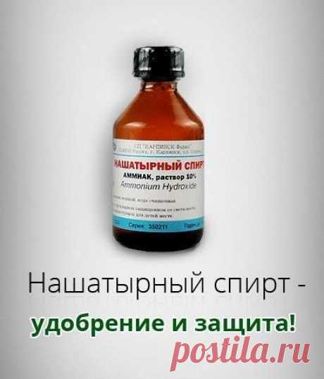 Женский клуб &quot;Каблучок&quot;