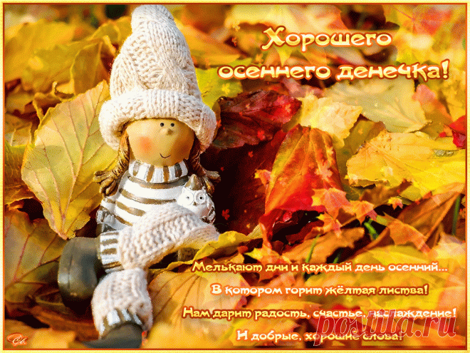 Хорошего денечка