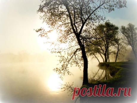 природа, пейзаж, река, лес, супер, туман, поляна