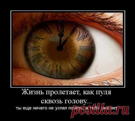 про жизнь