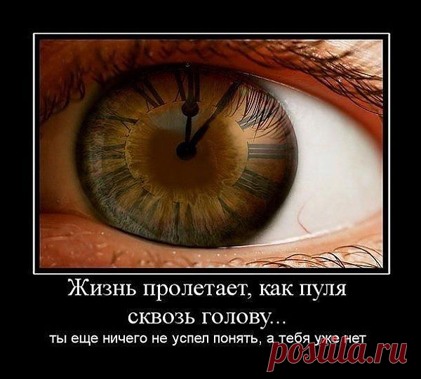 про жизнь
