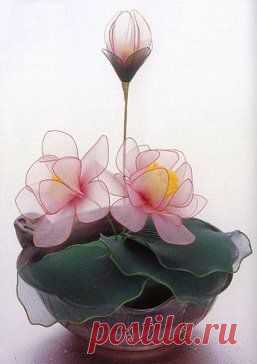 Одноклассники