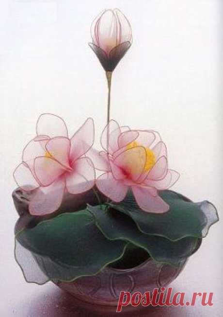 Одноклассники