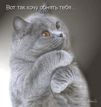 Лучшие открытки на Вконтакте и Мой Мир, отправленные за последние 24 часа из 3D галереи