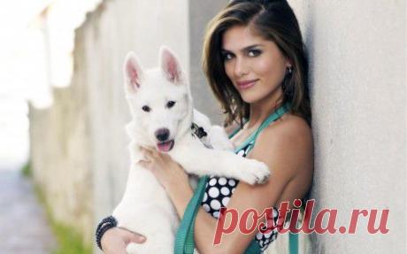 25 Things You Can Say To Your Dog but Not Your Date » Holytaco