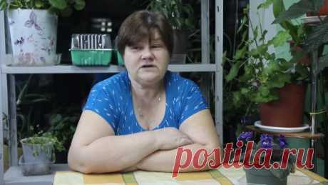 давайте знакомиться юлия миняева часть первая: 7 тыс изображений найдено в Яндекс.Картинках
