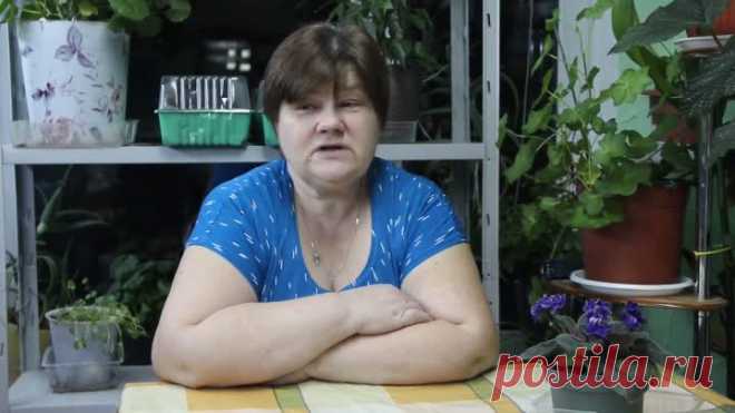 давайте знакомиться юлия миняева часть первая: 7 тыс изображений найдено в Яндекс.Картинках