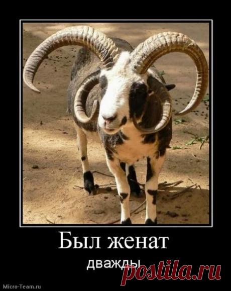 Владислав Фомин – Google+