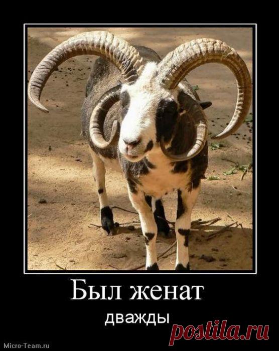 Владислав Фомин – Google+