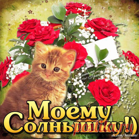 Моему солнышку
 Красивые картинки и открытки  vk.com/fotomimi