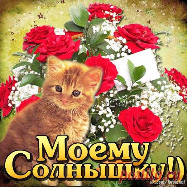 Моему солнышку
 Красивые картинки и открытки  vk.com/fotomimi