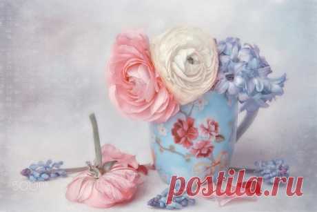 lovely springtime