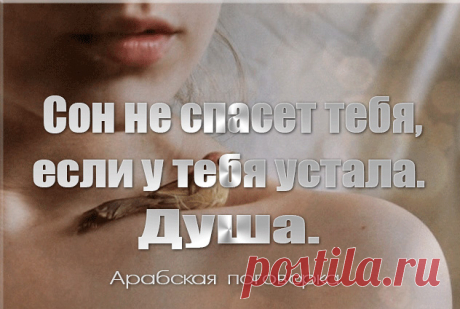 Арабская мудрость в афоризмах