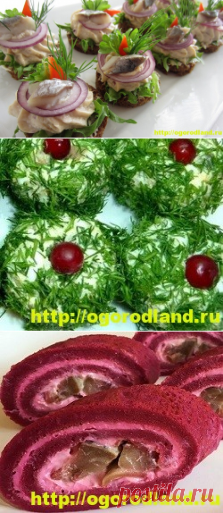 Закуски с сельдью. Вкусные холодные закуски для праздника