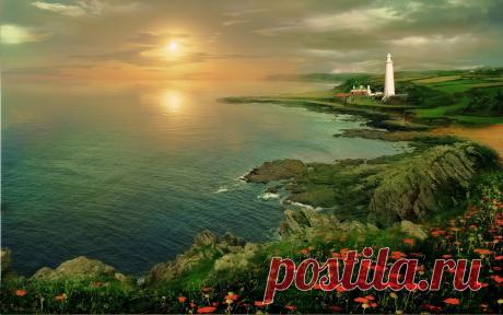 Маяк, закат, море, побережье, высота, маки, цветы обои, фото, картинки