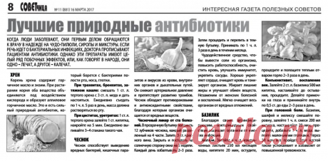 Лучшие природные антибиотики