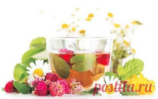 Рецепт для продления жизни