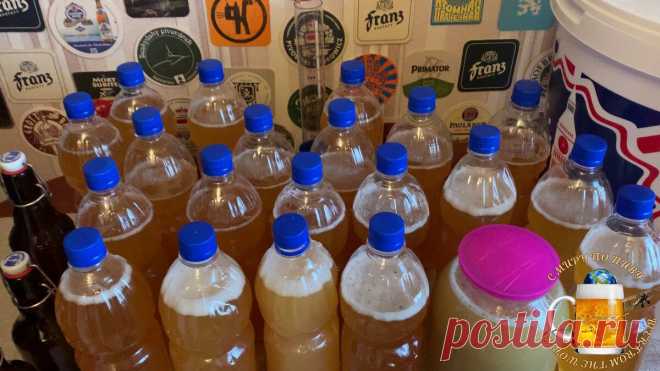 Показываю самый простой способ как сварить пиво дома! | С Миру по Пиву! | Яндекс Дзен