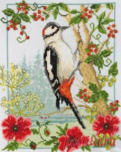 Вышивка крестом дятел .Простые схемы для вышивки птиц |