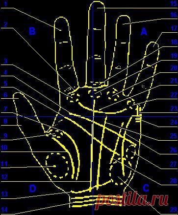 Гадание по руке ,,Магический знак для удачи - Блог. Elisseeva LANAVIN - Группы Мой Мир
