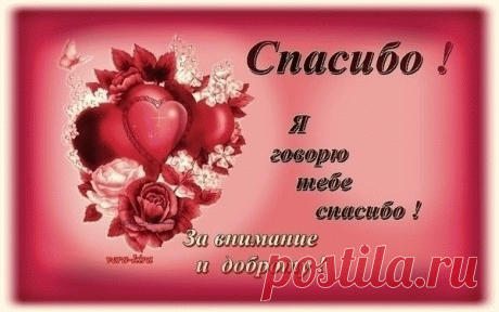 Спасибо большое, огромное
Хочу я сегодня сказать
За помощь, поддержку, терпение.
Здоровья хочу пожелать.