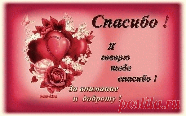Спасибо большое, огромное
Хочу я сегодня сказать
За помощь, поддержку, терпение.
Здоровья хочу пожелать.