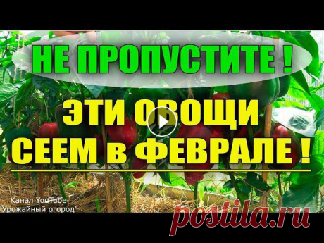 КАКИЕ ОВОЩИ САЖАТЬ В ФЕВРАЛЕ НА РАССАДУ

узор буфы спицами
