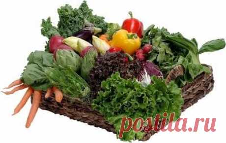Таблица содержания оксалатов в продуктах питания Приводимая ниже таблица содержания оксалатов построена на данных, взятых из наиболее современных источников. Возможные имеющиеся расхождения значений с теми, что указаны в более ранних источниках, …