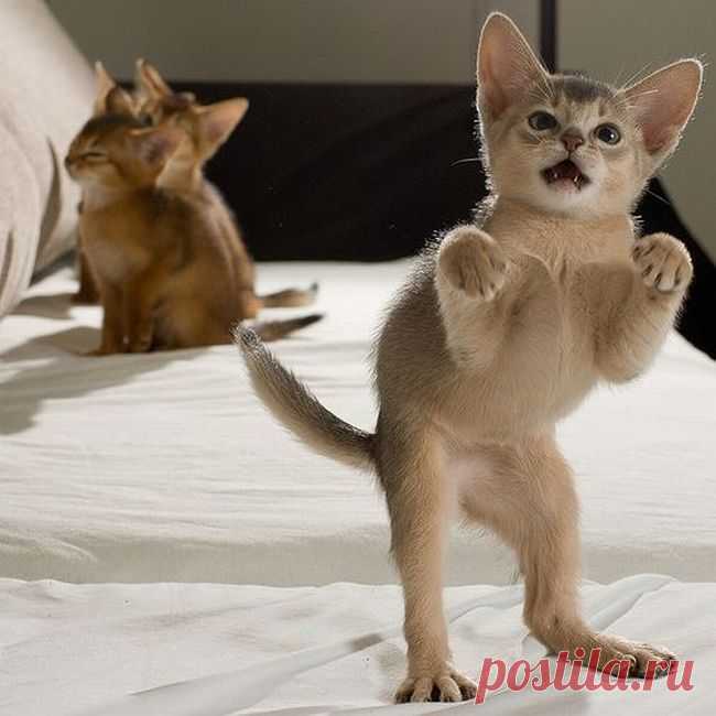 Мой Мир@Mail.Ru