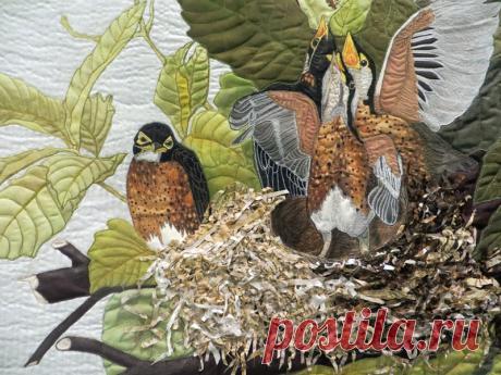 1.jpg (Изображение JPEG, 800 × 600 пикселов)