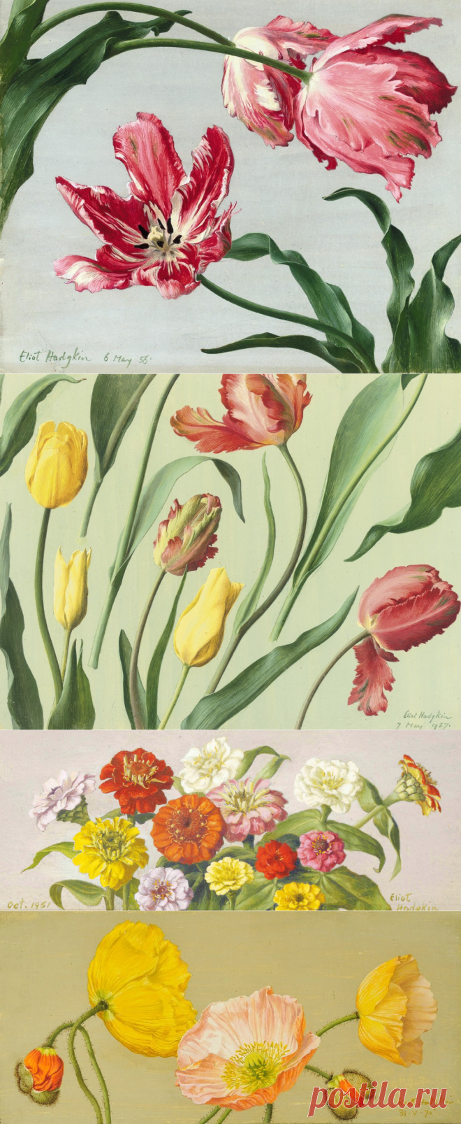 英国艺术家ELIOT HODGKIN（1905年至1987年）花果香