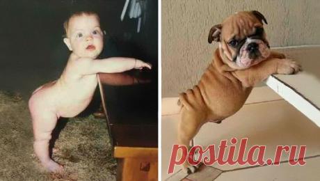 Fishki.net - Сайт хорошего настроения