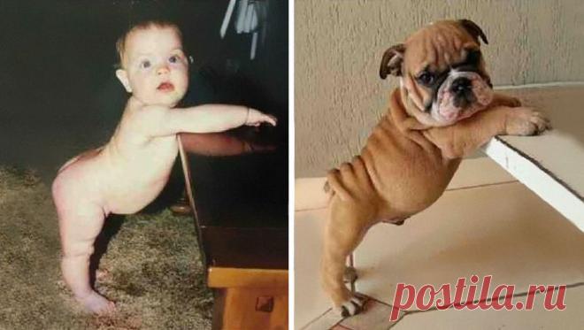 Fishki.net - Сайт хорошего настроения