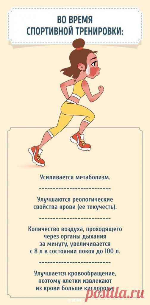 Это все правда! Что произойдет с Вами, если каждый день, полчаса заниматься спортом! — Всегда в форме!