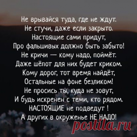 Татьяна Струкалина
