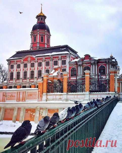 Александро-Невская лавра. Дружно выстроилась в ряд, стая зимних голубят