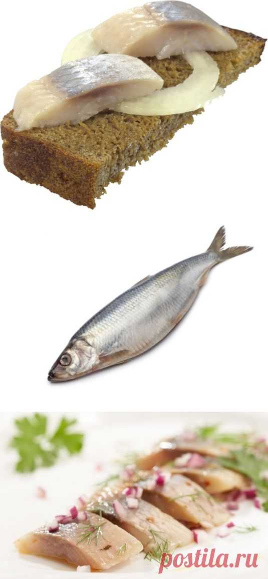 Инструкция к селедке | Четыре вкуса