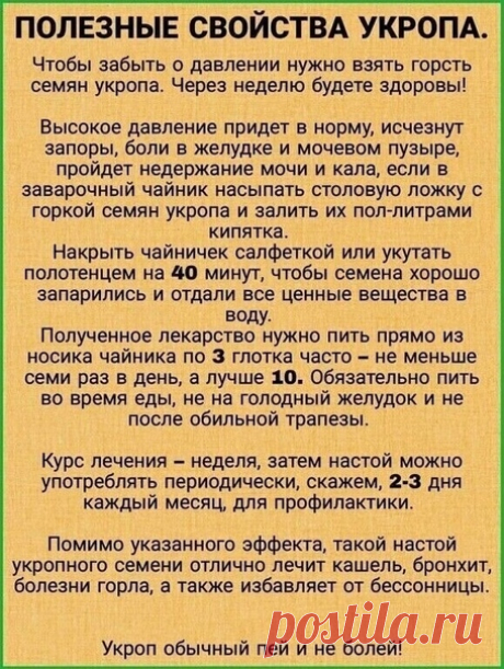 Какой полезный укроп