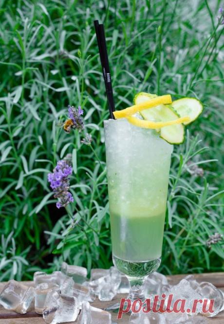 Топ-5 летних лимонадов – Metro