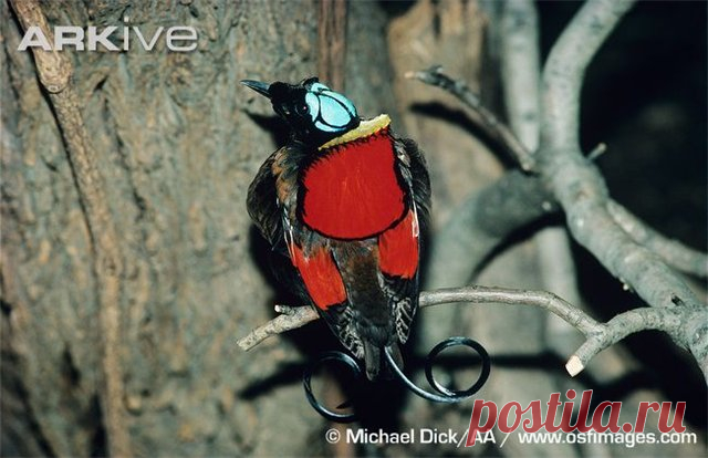 страницы которые создавались константина валерьевича сосницкого краснодар: 10 тыс изображений найдено в Яндекс.Картинках